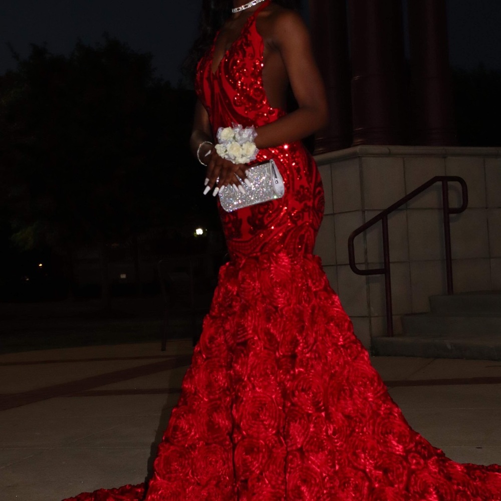 Prom Dress - Picture 3 of 5